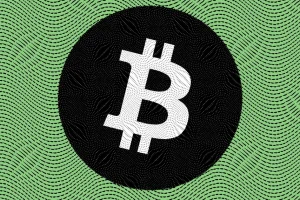 Bitcoin Surges $57K , Memecoin Bonk Leads Gains